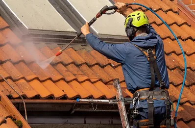 Démoussage et hydrofuge de toiture à Boynes